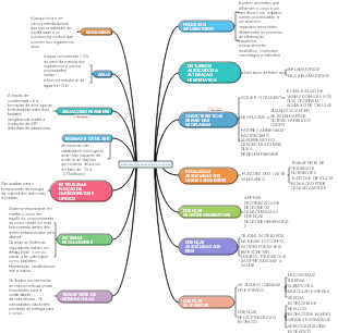 BIOQUÍMICA E PROCESSOS FISIOPATOLÓGICOS