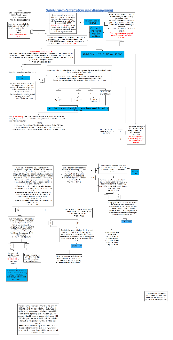 SafeGuard Flow Chart