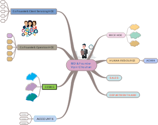 Organization Structure of Vipin Chouhan (MD & Founder)