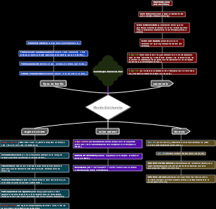 Direito Civil Familia