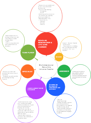 Multidimensional Role of the Inclusive Teacher