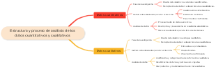 Estructura y proceso de análisis de los datos cuantitativos y cualitativos