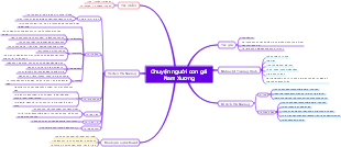 Chuyện người con gái Nam Xương - Tác phẩm và Giá trị Văn học