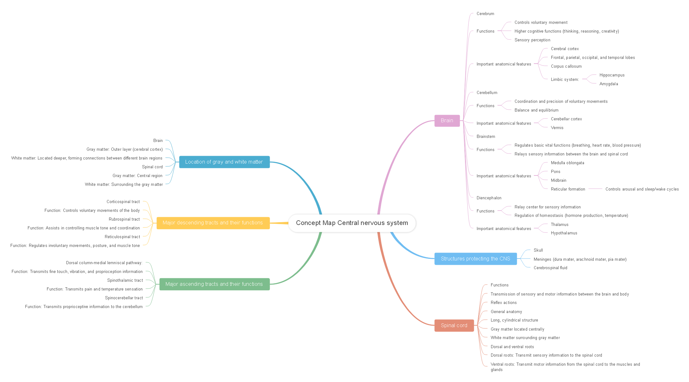 Concept Map Central nervous system