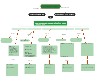 derechos culturales