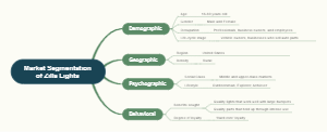 Market Segmentation of Zilla Lights