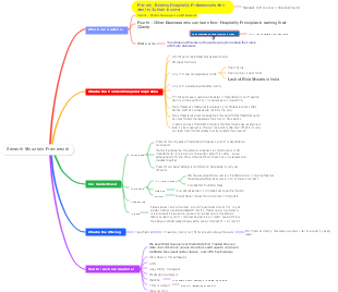 Market Analysis of Seventh Mountain Framework Project