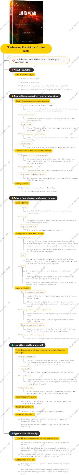 Embracing Possibilities mind map