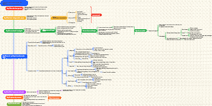 How to carry out business process analysis and business improvement activities