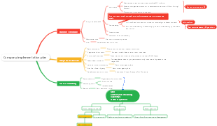 Company implementation plan, project planning, company entrepreneurial structure setup, company opportunity overview