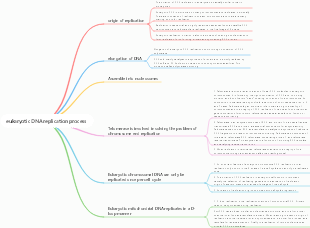 eukaryotic DNA replication process