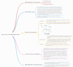 Basic laws of DNA replication