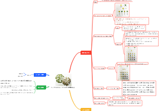 メンデルのエンドウの交雑実験(2)
