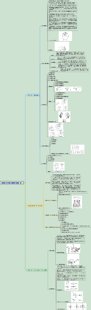 手術060 手の怪我と切断肢の再植術（指）