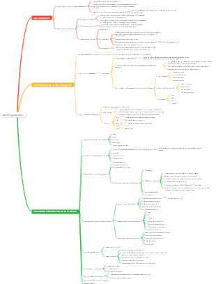 Data organization