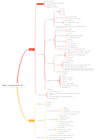 Case analysis mind map