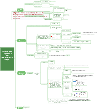 Biochemistry Chapter 9 Synthesis and Decomposition of Lipids