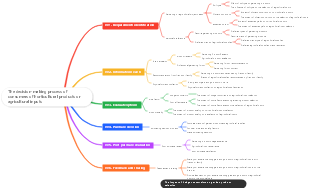 The decision-making process of consumers of horticultural products or agricultural inputs