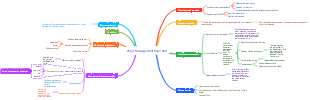 General government project management flow chart