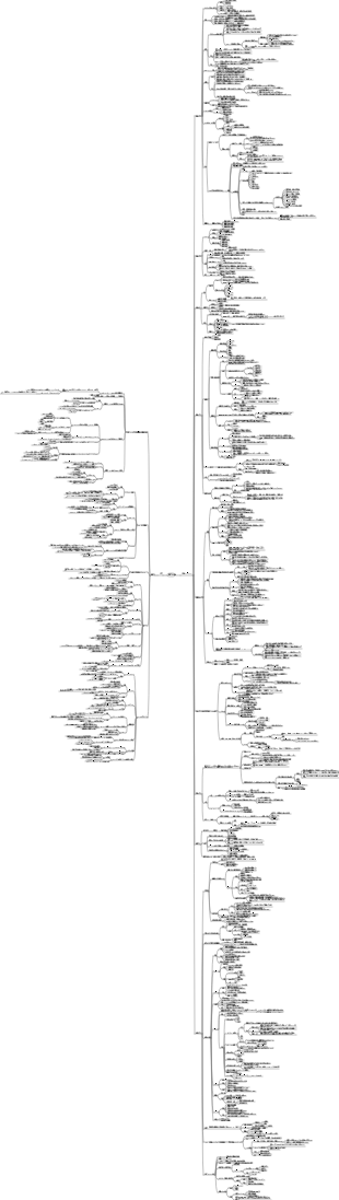中国文学の常識
