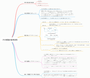 DNA複製の基本法則