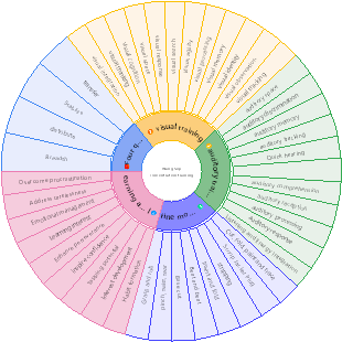 Focus training outline