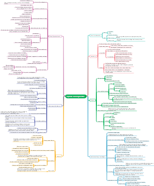 Feynman Learning Method-Detailed Version