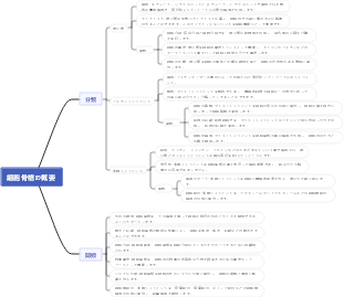 細胞骨格の概要