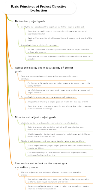 Basic Principles of Project Objective Evaluation