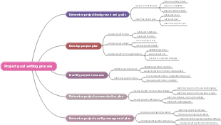 Project goal setting process