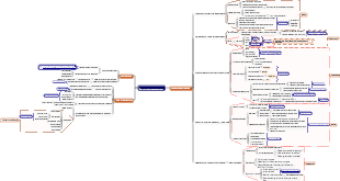 Startup team management
