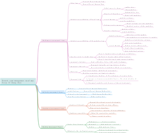Branch team management mind map