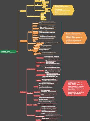 Interpretation of company organizational structure and job functions