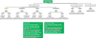 Live broadcast company organizational structure