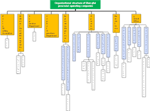 Operating company organizational structure