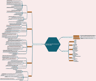 Internet company organizational structure and job functions interpretation
