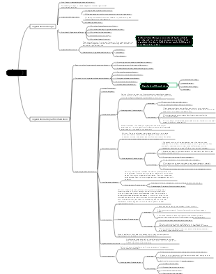 Organizational Hierarchy
