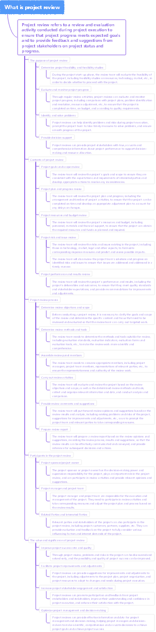 What is project review