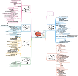 Pomodoro Technique Illustration