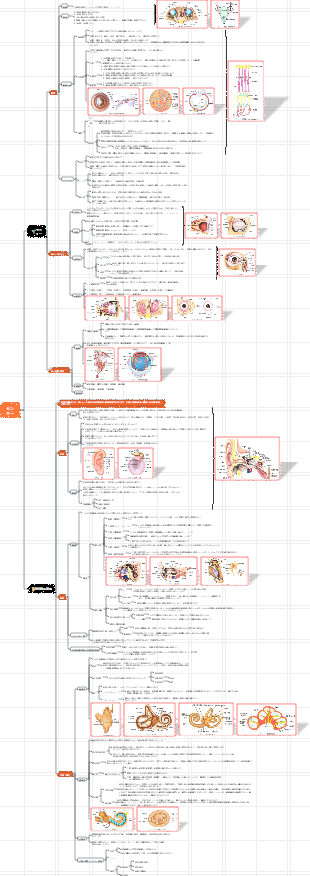 8. システムの解剖学感覚