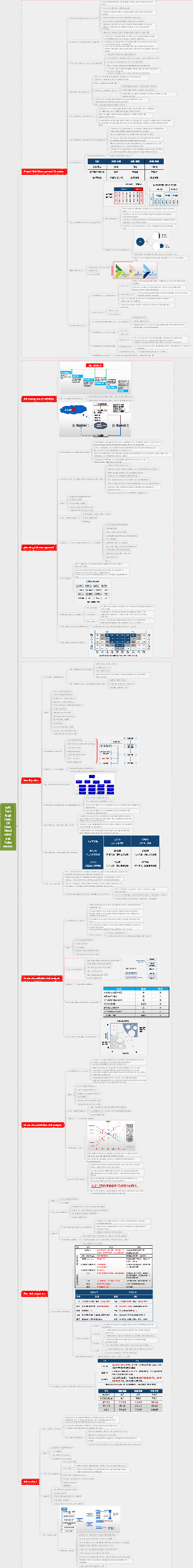 Project Risk Management for Advanced Software Examination