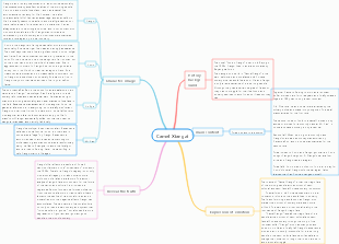 Camel Xiangzi handwritten newspaper