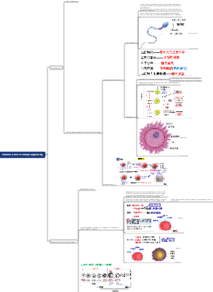 Theoretical basis of embryo engineering