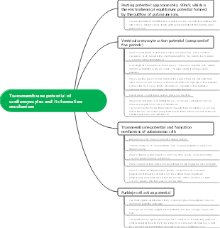 -Transmembrane potential of cardiomyocytes and its formation mechanism