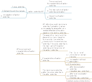physiological action potential