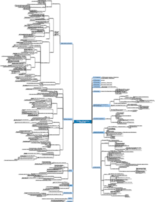 A Brief History of Humanity from Animals to God