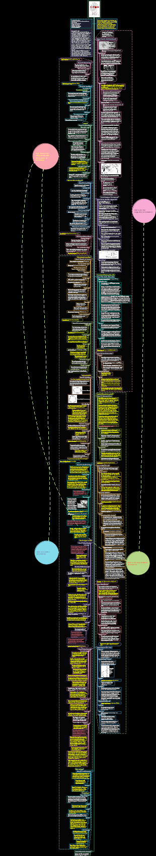 A Brief History of Humanity From Animals to God Reading Notes