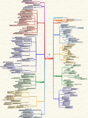 A Brief History of Humanity Reading Notes