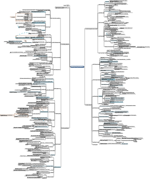 A Brief History of Humanity From Animals to God