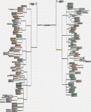 A Brief History of Humankind and A Brief History of the Future Reading Notes